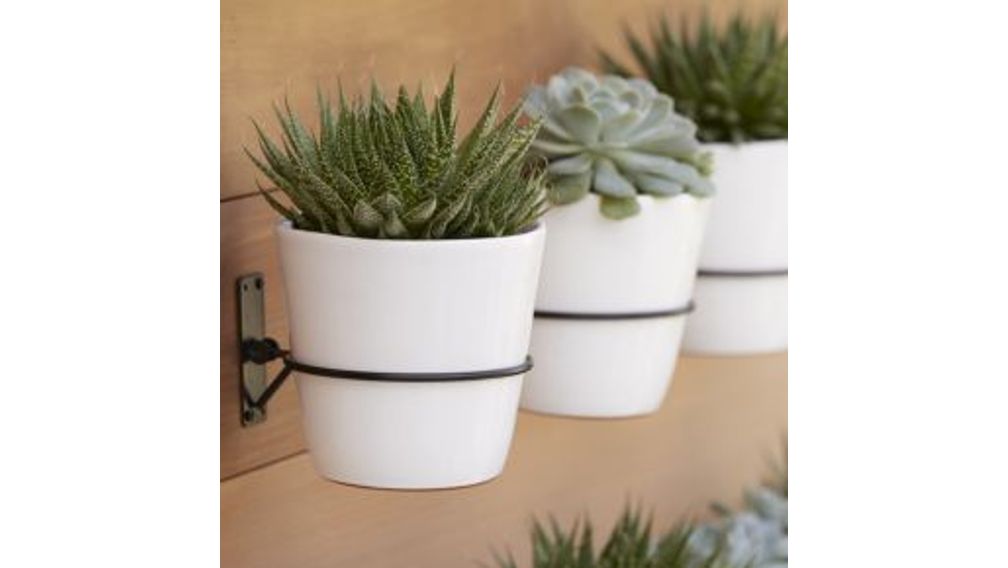 Gancho de Pared para Macetas - cratebarrelpe